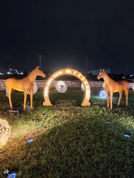 東京メガイルミに投稿された画像（2024/10/19）