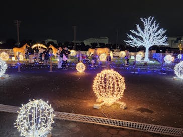 東京メガイルミに投稿された画像（2024/10/19）