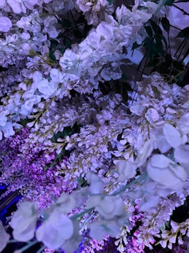 東京メガイルミに投稿された画像（2024/10/19）