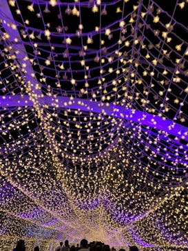 東京メガイルミに投稿された画像（2024/10/19）