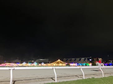 東京メガイルミに投稿された画像（2024/10/19）