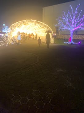 東京メガイルミに投稿された画像（2024/10/19）