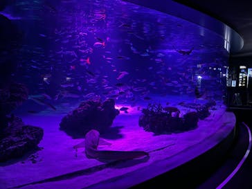 サンシャイン水族館に投稿された画像（2024/10/19）