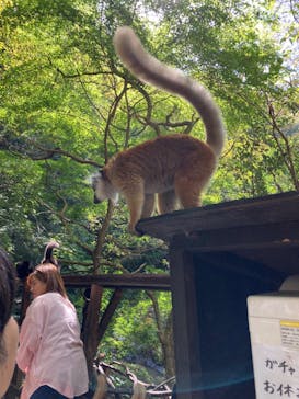 長崎バイオパークに投稿された画像（2024/10/19）