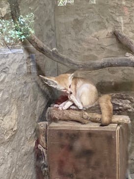 長崎バイオパークに投稿された画像（2024/10/19）