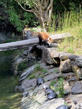 長崎バイオパークに投稿された画像（2024/10/19）