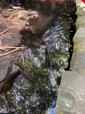 長崎バイオパークに投稿された画像（2024/10/19）