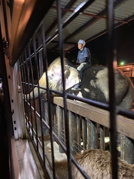 那須サファリパークに投稿された画像（2024/10/19）