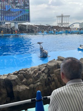 名古屋港水族館に投稿された画像（2024/10/19）