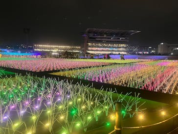 東京メガイルミに投稿された画像（2024/10/19）