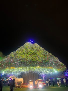 東京メガイルミに投稿された画像（2024/10/19）