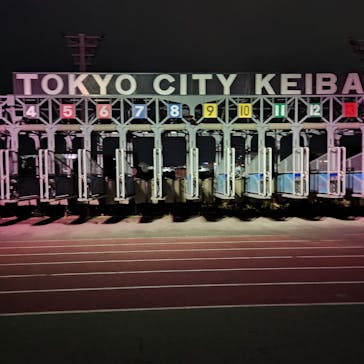 東京メガイルミに投稿された画像（2024/10/20）