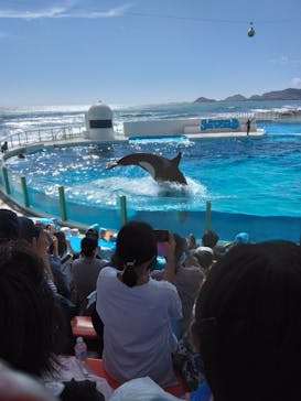 鴨川シーワールドに投稿された画像（2024/10/20）