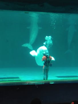 鴨川シーワールドに投稿された画像（2024/10/20）