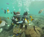 武藤潜水に投稿された画像（2024/10/20）