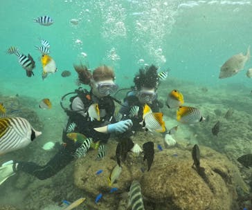 武藤潜水に投稿された画像（2024/10/20）