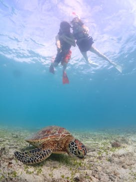 宮古島マリン GB QUESTに投稿された画像（2024/10/20）