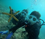 青の洞窟専門店　沖縄ダイビングショップ和に投稿された画像（2024/10/20）