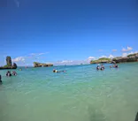 武藤潜水に投稿された画像（2024/10/20）