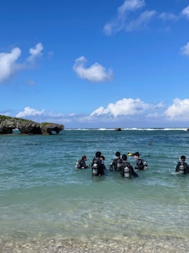 武藤潜水に投稿された画像（2024/10/20）