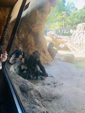 恩賜上野動物園に投稿された画像（2024/10/20）