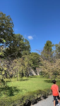 元離宮二条城に投稿された画像（2024/10/20）