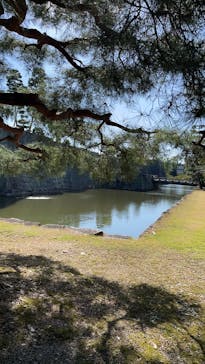 元離宮二条城に投稿された画像（2024/10/20）