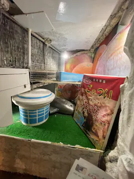 ひらかたパークに投稿された画像（2024/10/20）