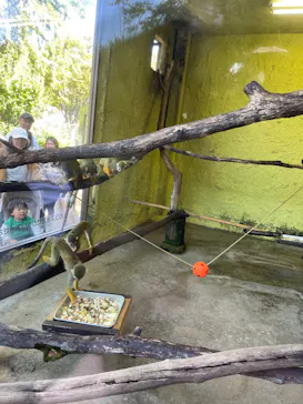 ひらかたパークに投稿された画像（2024/10/20）