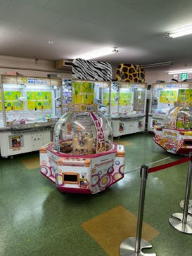 群馬サファリパークに投稿された画像（2024/10/20）