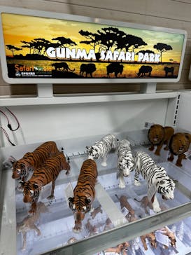 群馬サファリパークに投稿された画像（2024/10/20）