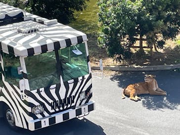 多摩動物公園に投稿された画像（2024/10/20）