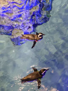 すみだ水族館に投稿された画像（2024/10/20）