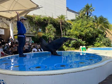 サンシャイン水族館に投稿された画像（2024/10/20）