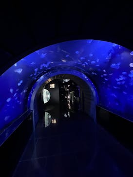 サンシャイン水族館に投稿された画像（2024/10/20）