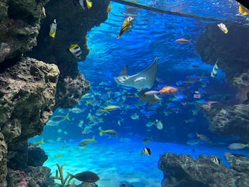 サンシャイン水族館に投稿された画像（2024/10/20）