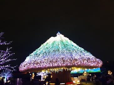 東京メガイルミに投稿された画像（2024/10/20）