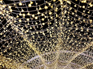 東京メガイルミに投稿された画像（2024/10/20）