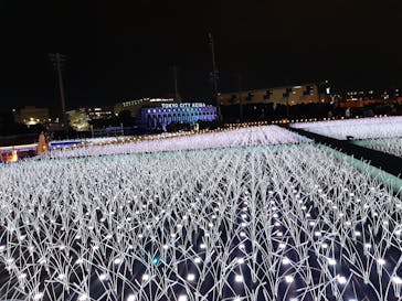 東京メガイルミに投稿された画像（2024/10/20）