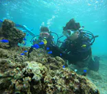 武藤潜水に投稿された画像（2024/10/20）