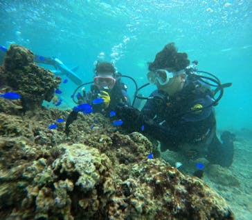 武藤潜水に投稿された画像（2024/10/20）