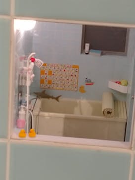 「Mozu ミニチュア展 ようこそ、ちいさな世界へ。」に投稿された画像（2024/10/20）