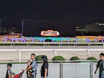 東京メガイルミに投稿された画像（2024/10/20）