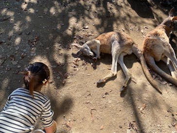 群馬サファリパークに投稿された画像（2024/10/20）