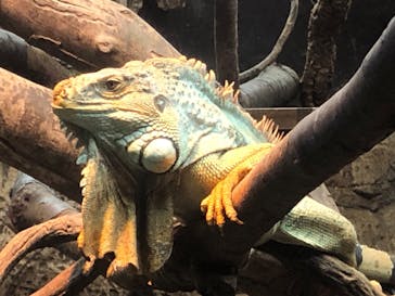 体感型動物園iZooに投稿された画像（2024/10/20）