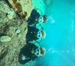 沖縄マリンサービス碧に投稿された画像（2024/10/20）