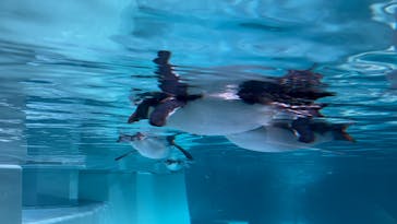 AOAO SAPPOROに投稿された画像（2024/10/20）