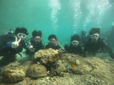 武藤潜水に投稿された画像（2024/10/20）