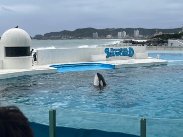 鴨川シーワールドに投稿された画像（2024/10/20）