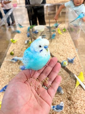 いきもの探検隊湘南に投稿された画像（2024/10/20）